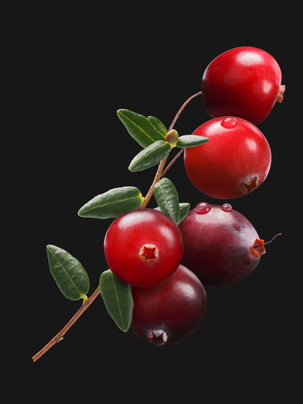 Mastering the Art of Layering: Top Tips for Styling a Sheer Blouse with a V-Neck Sweater